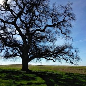 Meet your Posher, Juhree